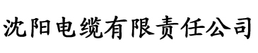 激情传媒电缆厂logo